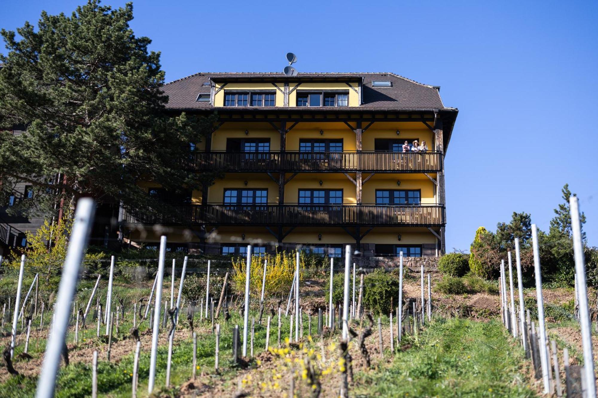 Hotel Arnold Itterswiller Exterior foto